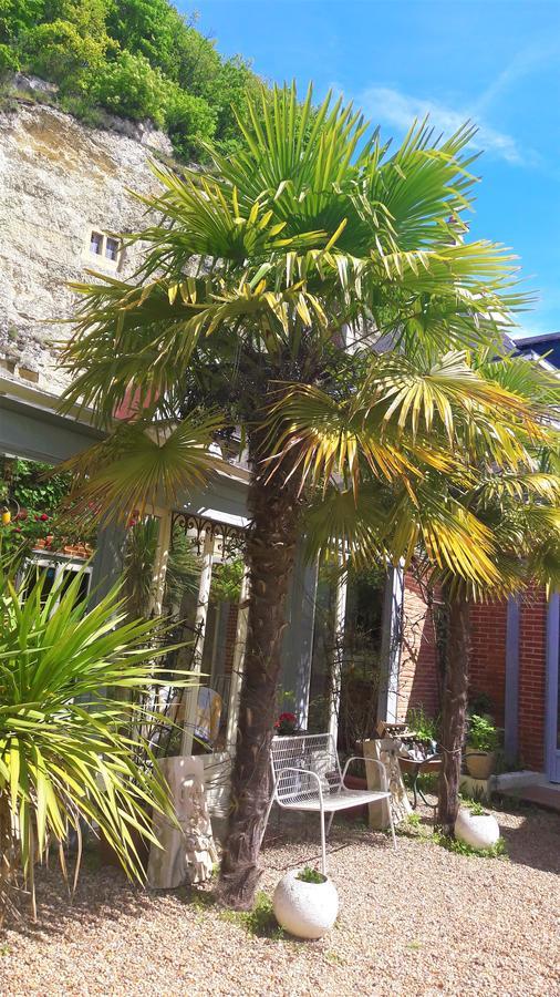 Le Vieux Vauvert Bed & Breakfast Rochecorbon Exterior photo